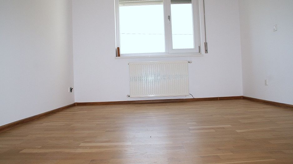 BRANESTI, cu deschidere la Balta Branesti, inchiriere vila 7 camere - Poză 10