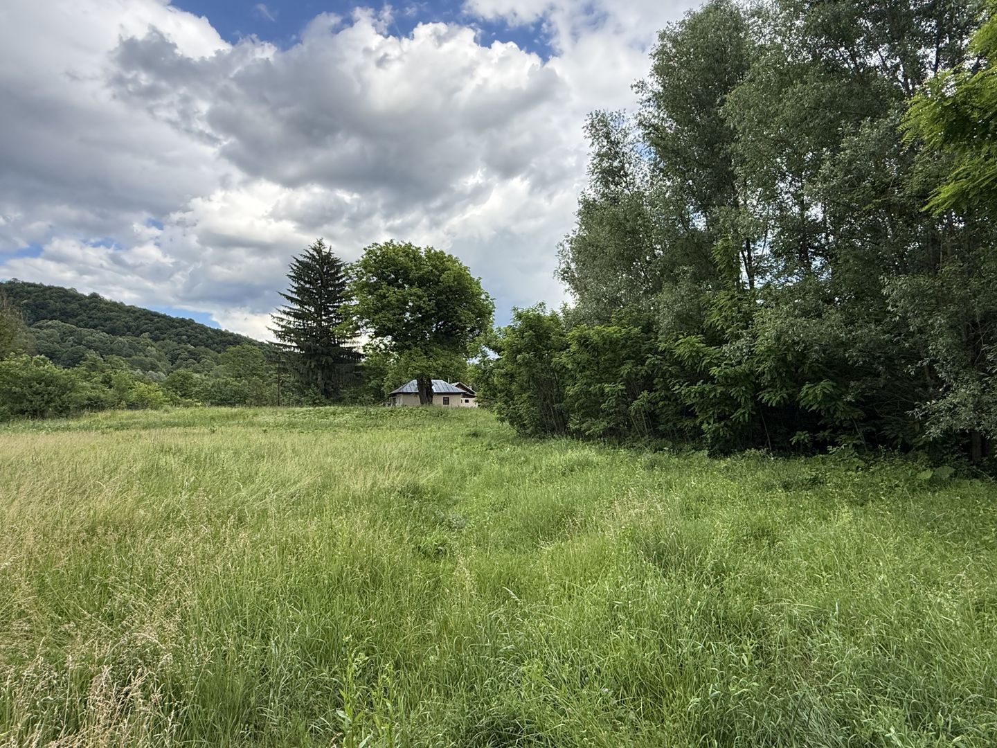 Teren plat-intravilan -3800 mp, cu pădurice și ieșire la râu! - Poză 2