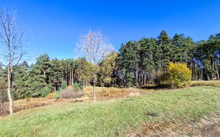 Teren Intavilan I Poiana Angelescu Sacele - Poză 16