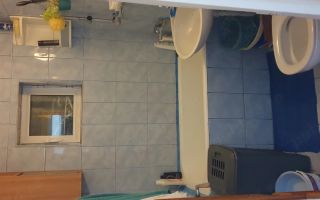 Apartament cu 2 camere, 40,19 mp, B-dul Primăverii 17C, Iași - 100.000 EUR - Poză 4