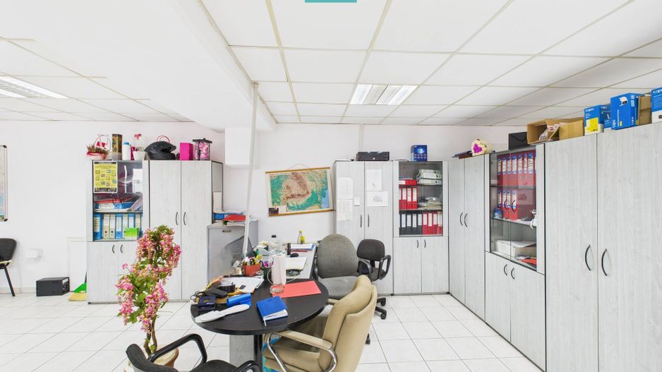 Hală de producție, cu birouri și teren, în Sebiș - Poză 33