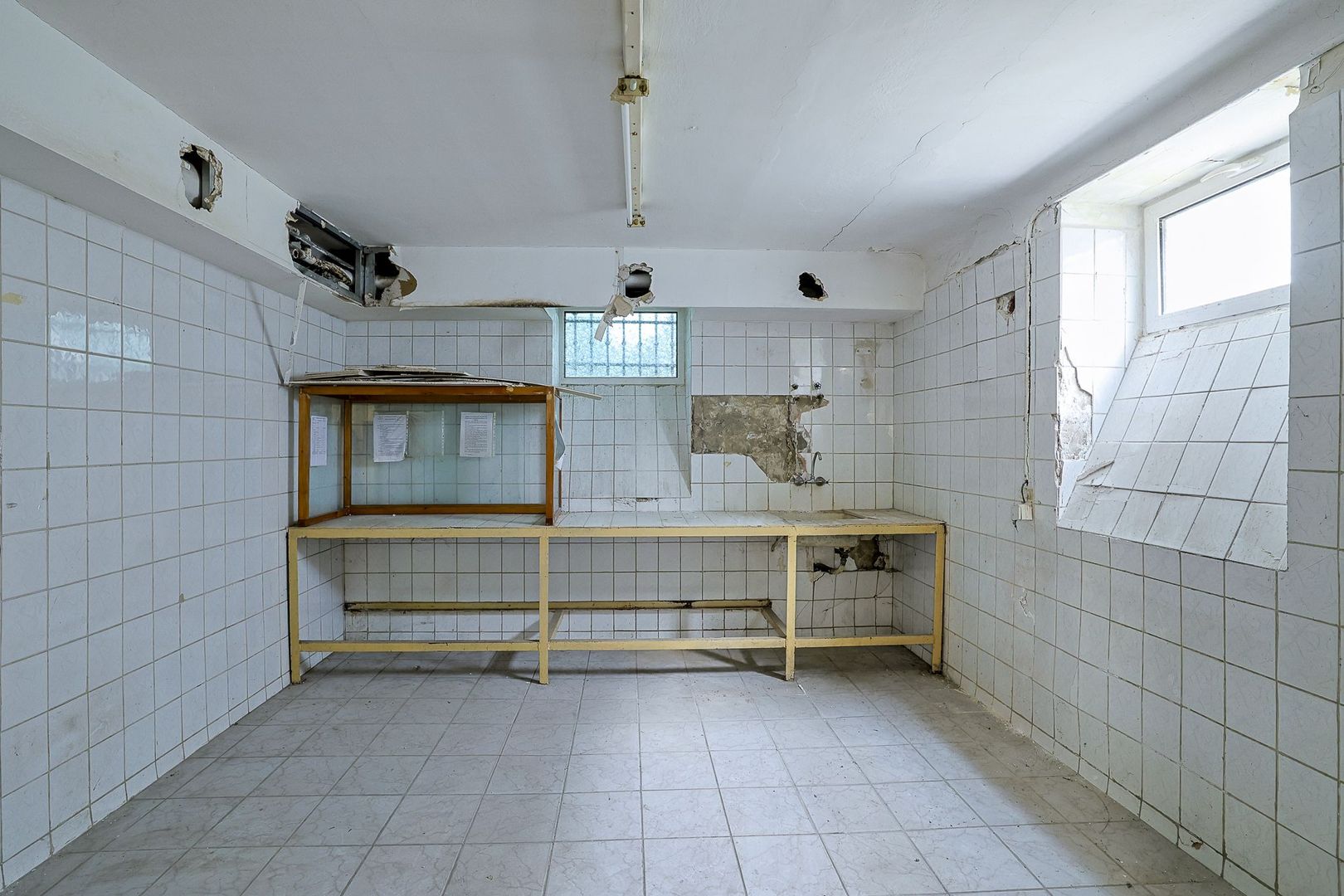 PIATA ROMANA - Calea Dorobanti | Vila - Spatiu Comercial - Poză 30
