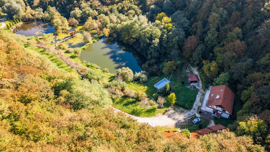 Domeniu în satul Căprioara - Poză 6