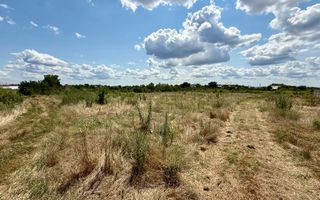 Teren Intravilan 2390mp - parcelabil - Malu Mare - Poză 1