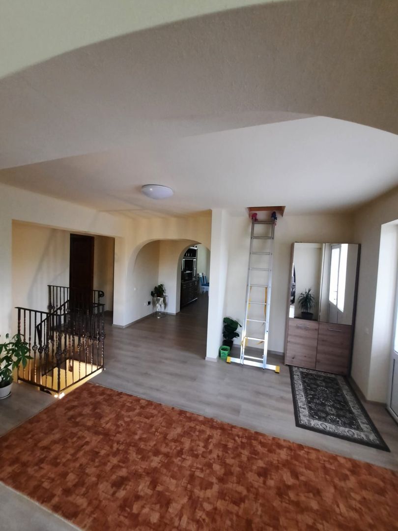 CASA DE 263MP, TEREN DE 8142M2 IN OARDA DE SUS LA 350.000, NEGOCIABIL - Poză 4