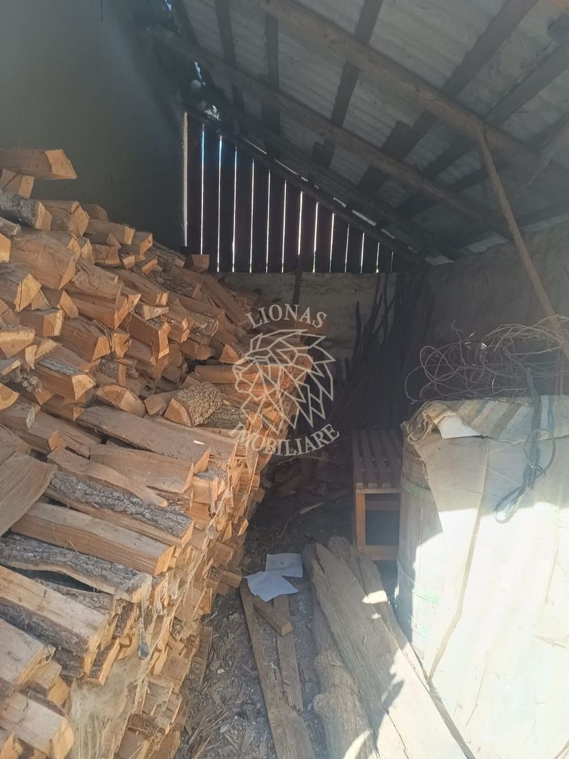 Casa la tara-teren 1521 mp+2 ha arabil-ideal casa Vacanta-Mintiu - Poză 9