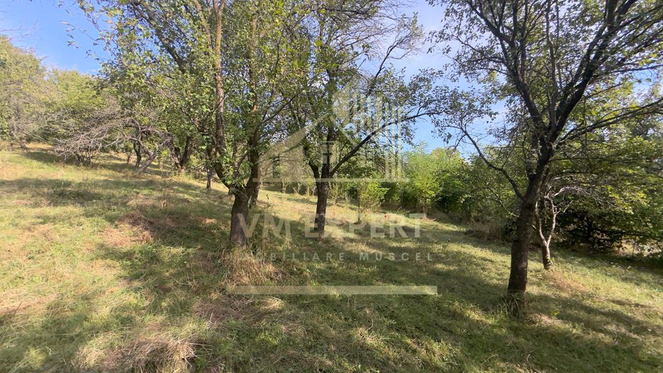 CASA 3 CAMERE TEREN 7770 MP BOTENI ARGEȘ - Poză 38