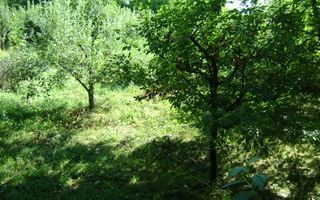 Teren de vânzare în Breaza– zonă liniștită, ideal pentru relaxare - Poză 18