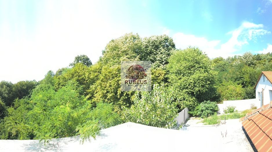 Refugiul la marginea pădurii in Orșova, pe malul Dunării - Poză 26