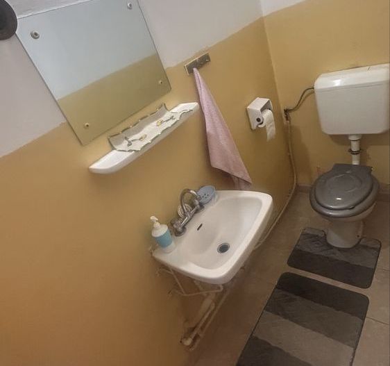 Apartament spatios Doamna Ghica-Radovanu - Poză 6