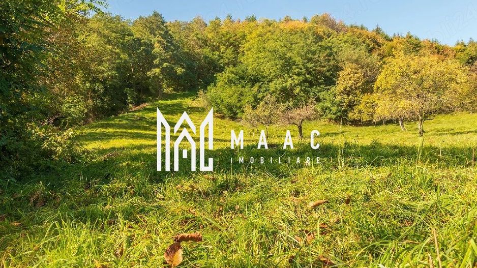 Teren | Intravilan | 2439 MPU | Fântânele - Poză 1