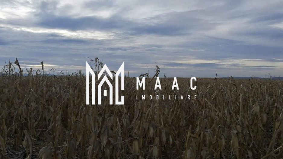 Teren intravilan I Zona Calea Surii Mici- Magnolia - Poză 1