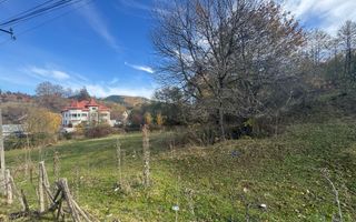 TEREN INTRAVILAN 13167 MP BUGHEA DE SUS ARGES - Poză 14