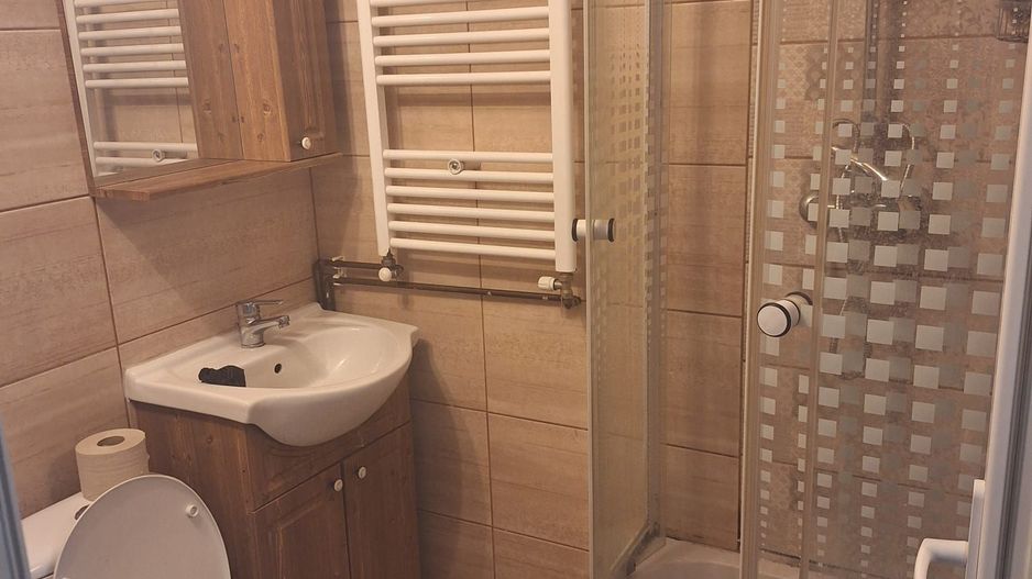 Buziasului | 1 Camera | Etaj 1 | Renovata-Mobilata si Utilata - Poză 5