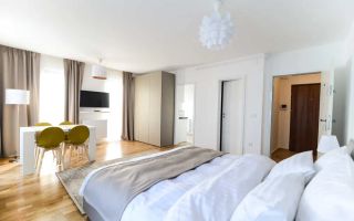 1 Camera, Park lake, Iulius Mall, FSEGA, Terasa,Modern, Intre lacuri. - Poză 2