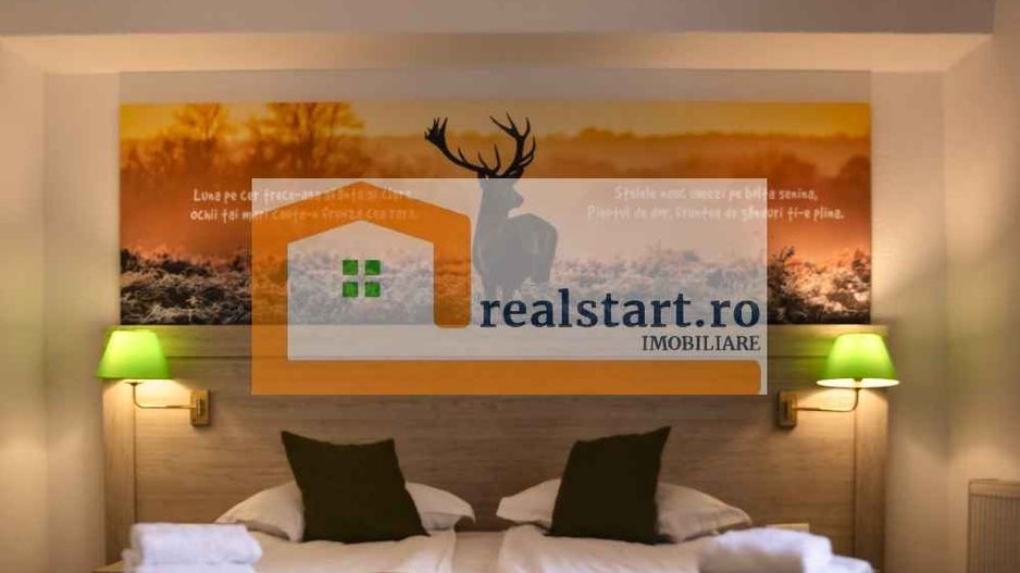 Langa Sighisoara, Inconjurata de Padure, Investitie, ROI min9% - Poză 20