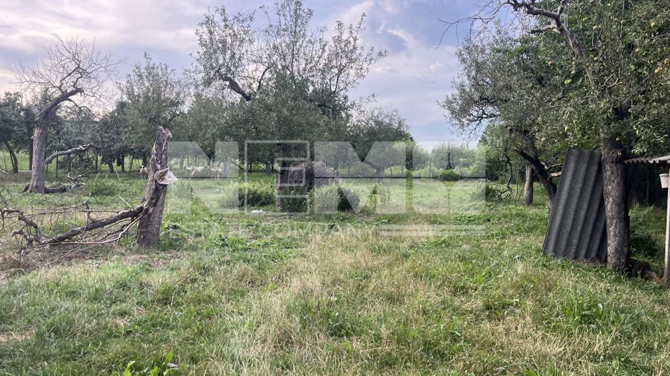 Casă la Țară cu Livadă 20 Ari | Rotopanesti/Suceava | 60.000Euro - Poză 22