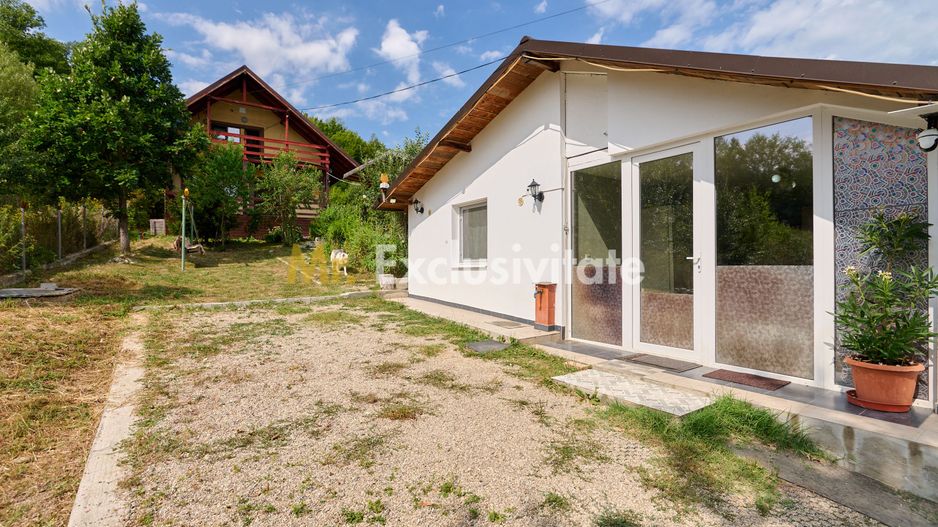 Doua CASE in aceeasi curte–BABANA, ARGEȘ | 1.485 MP TEREN - Poză 3