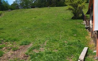 NAMAESTI - Valea Mare Pravat, 7000 mp. teren intravilan, ideal locuinta - Poză 6