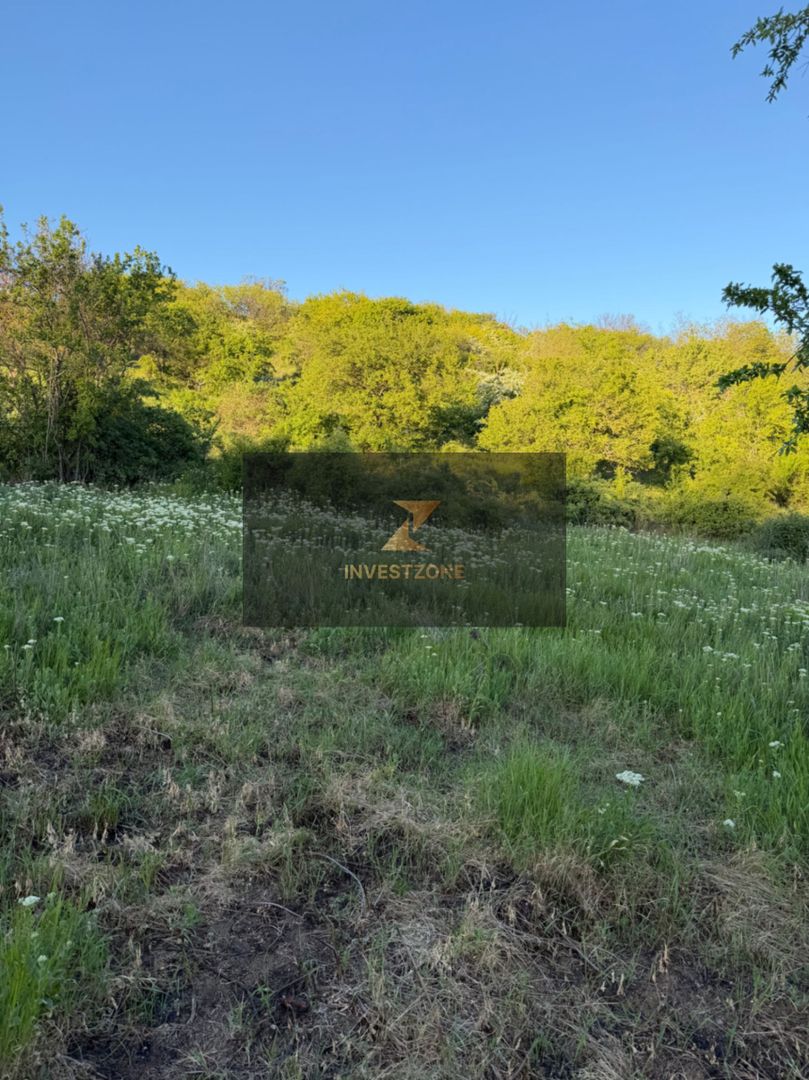 ⭐  Teren de 2.700 mp cu front generos – Ocazie în Oncea - Poză 20
