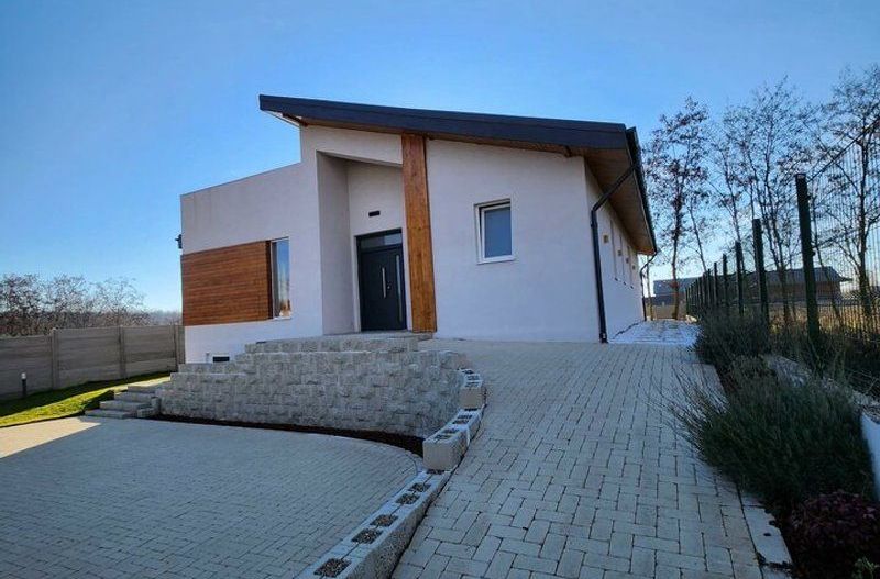 Vila individuala Snagov Tancabesti padure - Poză 2