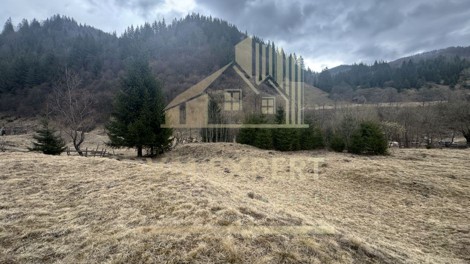 TEREN INTRAVILAN 500 MP SĂTIC- RUCĂR - Poză 11