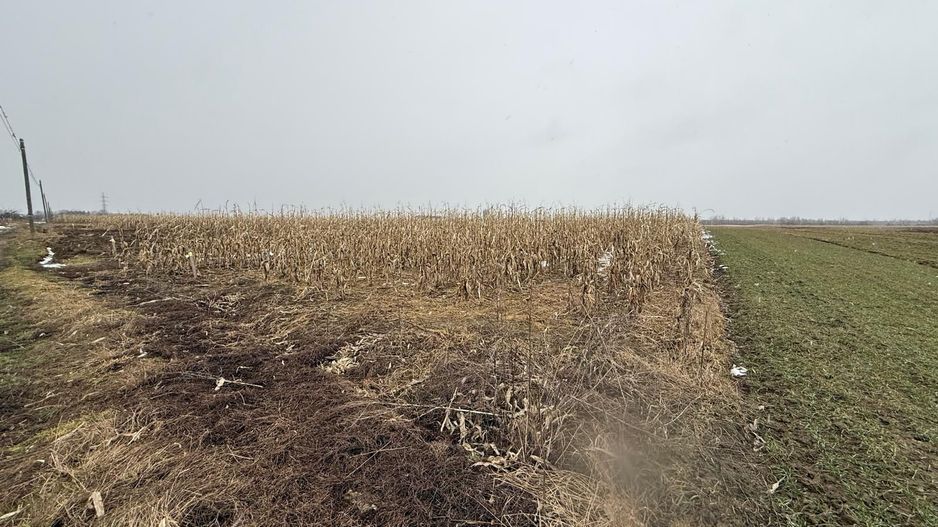 Teren extravilan | Gălănești | 7.276 mp | Front 29 m - Poză 4