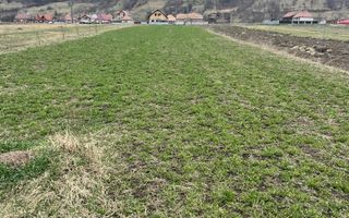 Vânzare teren 3145 mp – Mănăstirea Cașin, Onești - Poză 7