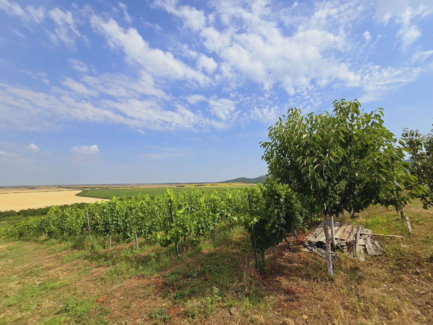 Vie Tradițională „Halta Lupilor” - Poză 21