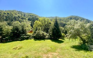 Proprietate deosebita de vanzare – Voinesița, Comuna Voineasa - Poză 10