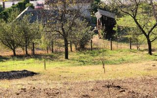 Casa de vanzare | teren intravilan| Troianu| 2166mp - Poză 3