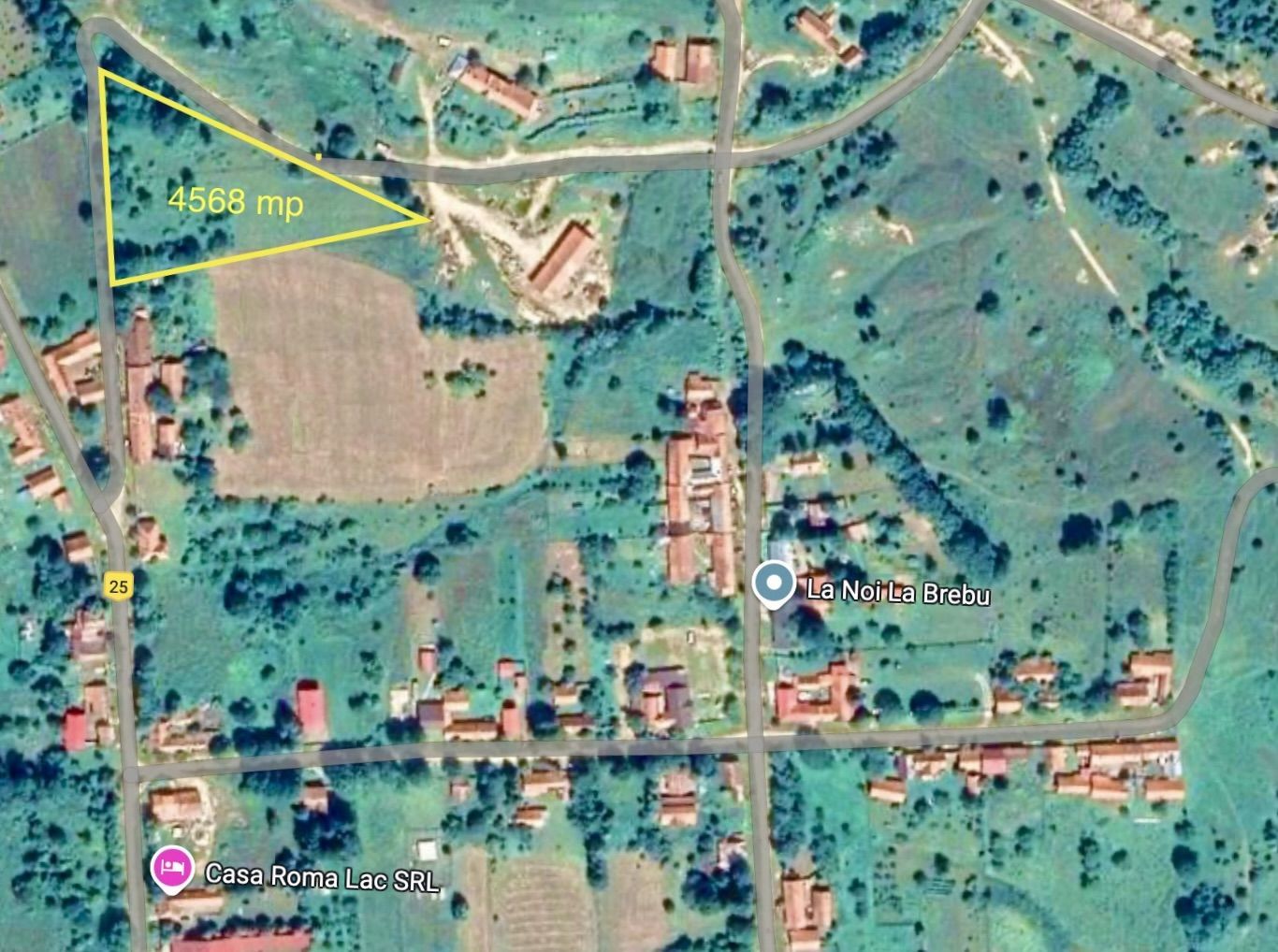 Teren intravilan 4.568 mp, 2 fronturi – Brebu Nou, Caraș-Severin - Poză 1