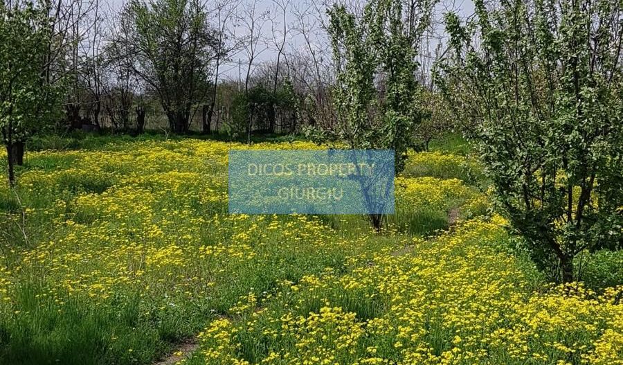 Teren 2.600 mp, utilități, Str. Merișor – Giurgiu - Poză 3