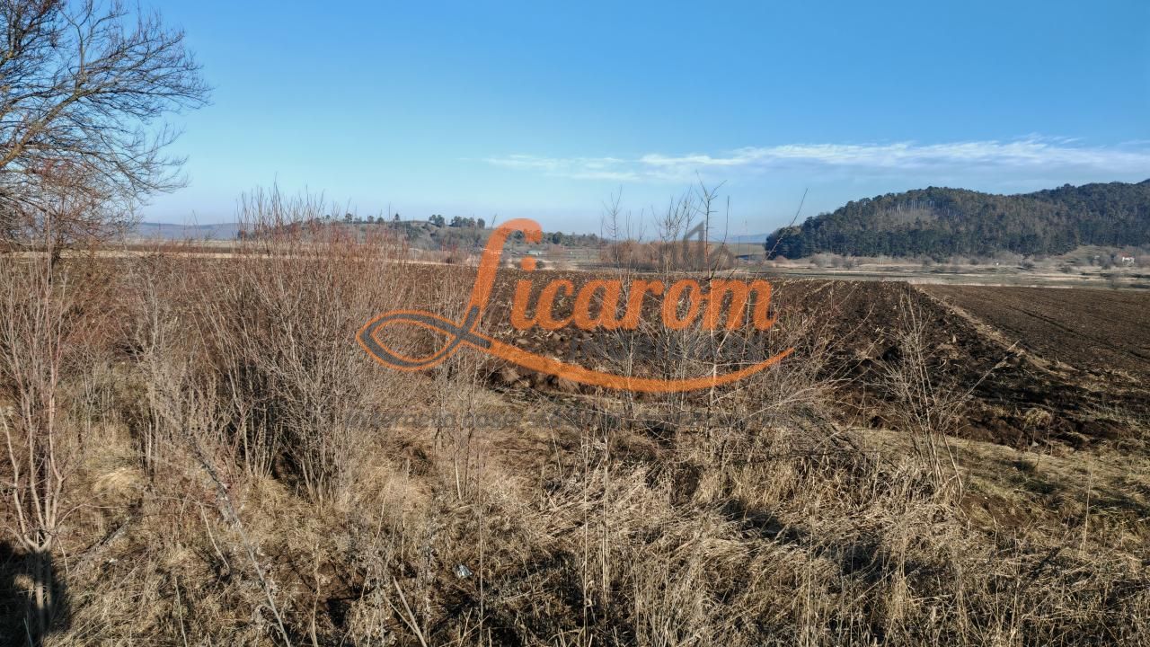 Teren intravilan,428 mp,SANPETRU iesirea spre BOD, utilitati. - Poză 5