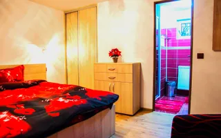 AFACERE DE VANZARE| Pensiunea SILVANKA din Valcele 3* | Langa BRASOV - Poză 17