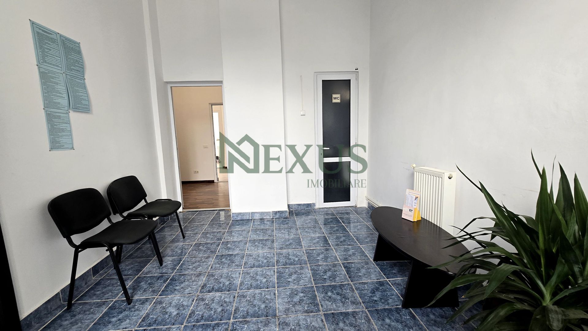 Spațiu comercial de închiriat, Com. Nicolae Bălcescu, Jud. Bacău - Poză 6