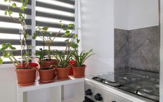 Lipovei, 3 camere, centrala proprie, pet-friendly - Poză 11