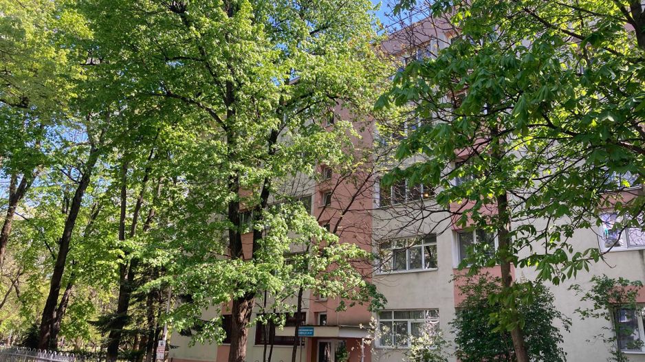 Se vinde apartament 2 camere zona Piata Muncii, Parcul Gh. Petrascu - Poză 7