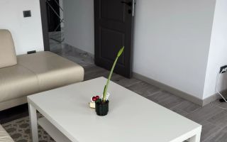 Casă de închiriat, Țicău Iași - Poză 6