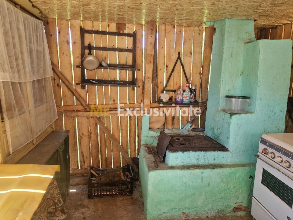 Căsuță autentică românească între două dealuri–colț de liniște  în Botesti, Arge - Poză 12