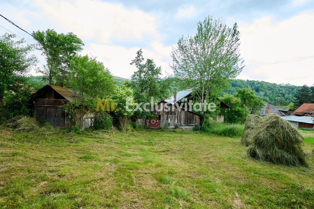 Casa cu teren generos - 4696 mp Apa Sarata - Campulung !! - Poză 17