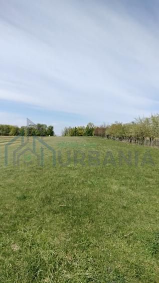 Teren extravilan 7.200 mp, Bordea - Grajduri, oportunitate investiție - Poză 14