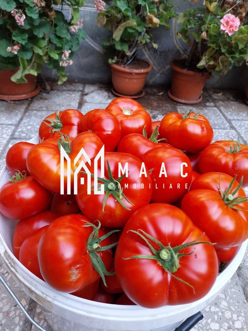 Proprietate cu 60000 mp pamant la pret de apartament - Poză 13