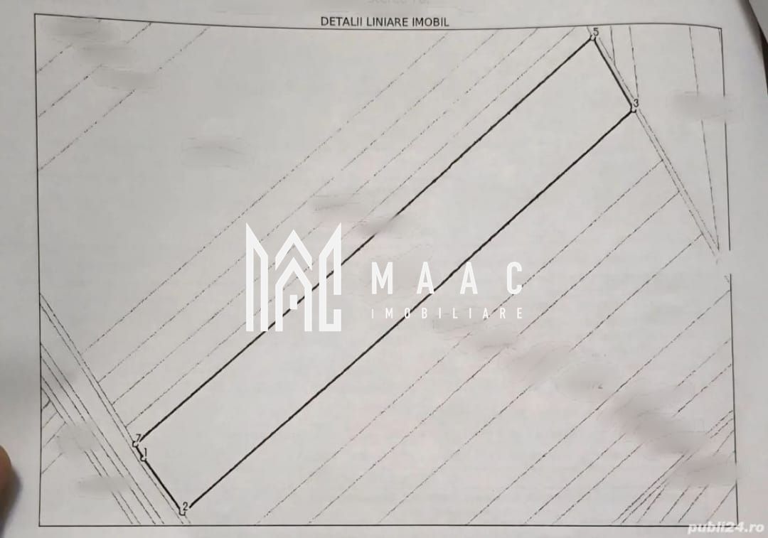 Teren | 25000 MP | Oportunitate investiție | Extravilan | Șura Mică - Poză 2