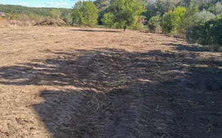 Teren Intravilan de vanzare 3778 mp Branesti Strada Violetelor - Poză 19