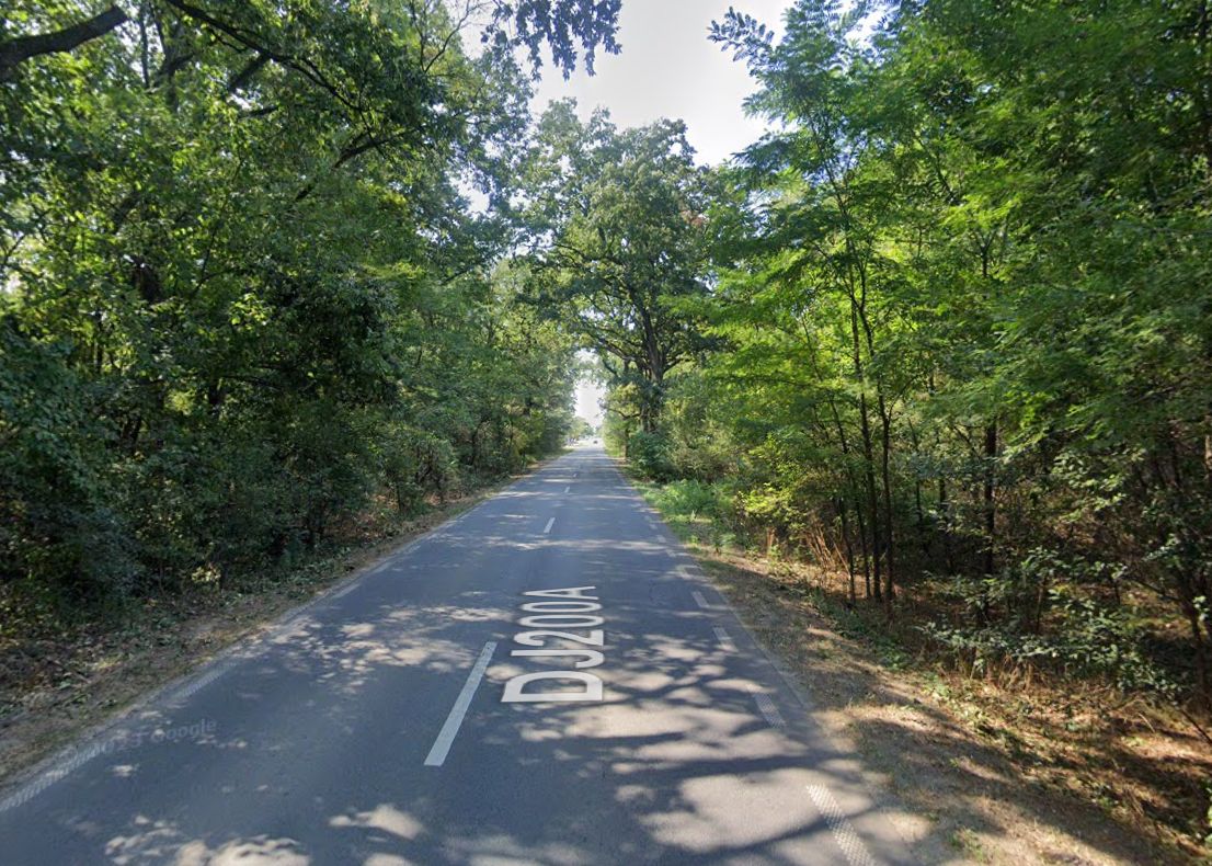 Teren 10,000mp Afumati | Padure | Soseaua Petrachioaia - Poză 5