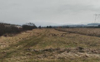 Teren 1.300mp | Extravilan | Mohu - Poză 3