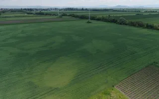 Teren intravilan 50000 mp, cu PUZ, Aprobat - zona Halchiu/Codlea - Poză 12