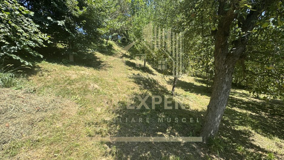 CASA 6 CAMERE TEREN 1005 MP  BUGHEA DE JOS ARGEȘ - Poză 33