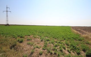 Teren arabil 3 ha - Sacalaz - Poză 2